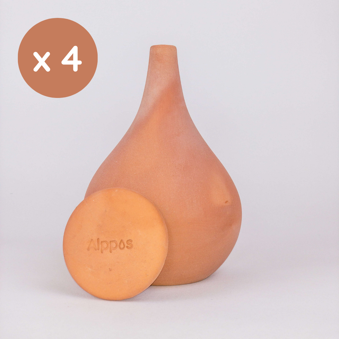 Oyas à planter taille M de 800 mL