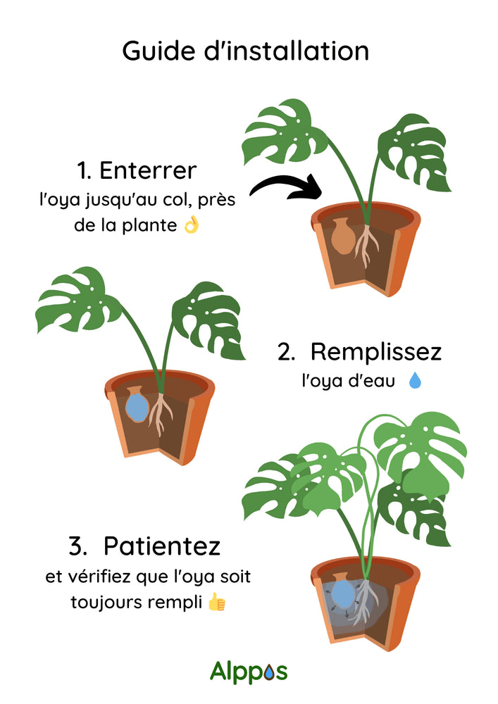 3 Oyas spéciales jardinières taille S