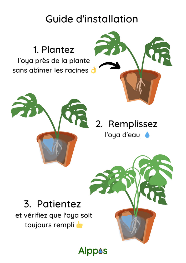 Oyas à planter en statue MoaÏ de l'île de Pâques 400 ml