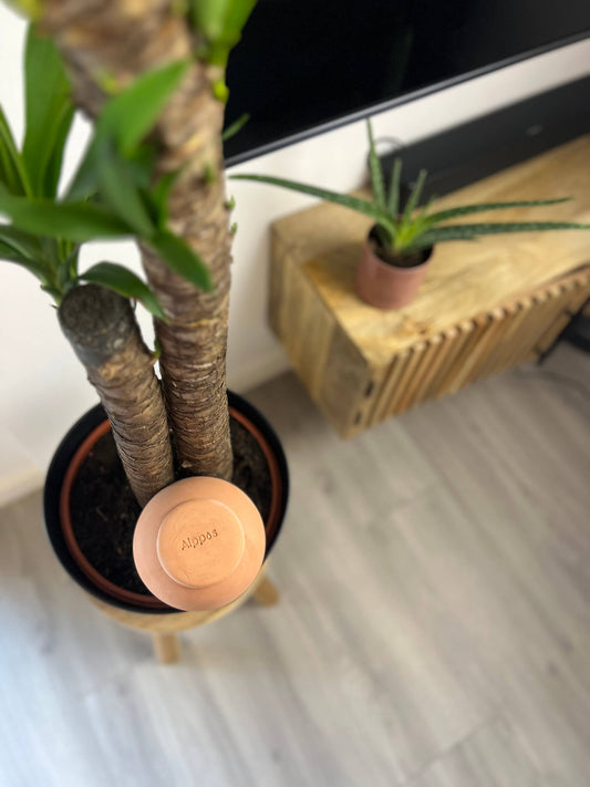 Oyas à planter taille M de 800 mL