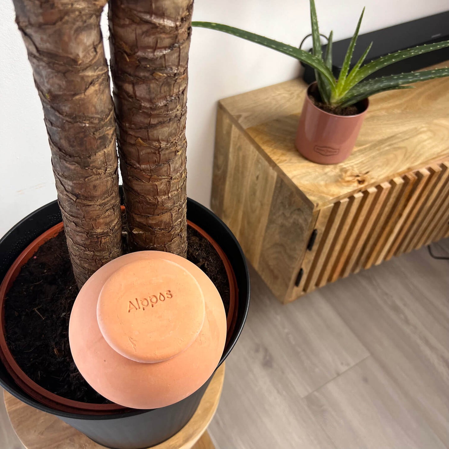 Oyas à planter taille M de 800 mL