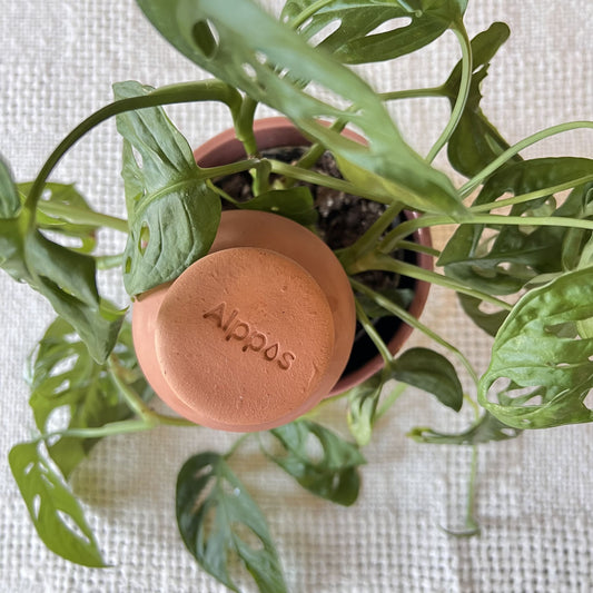 3 oyas à planter Petit Pot de 400 mL en terre cuite