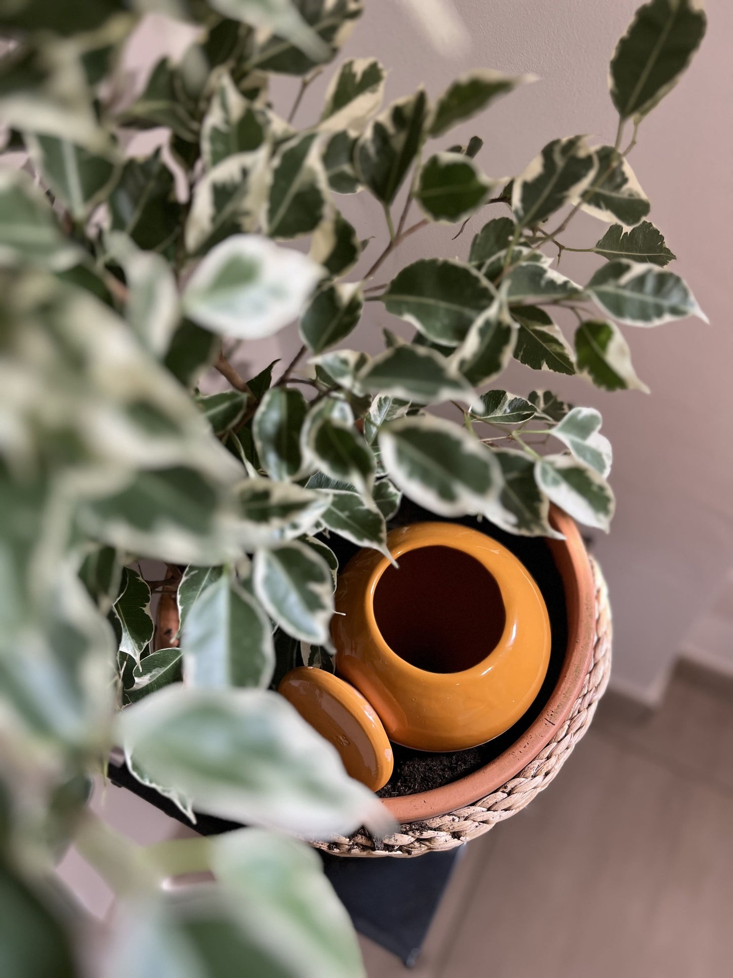 Oyas à planter taille M camel de 800 mL