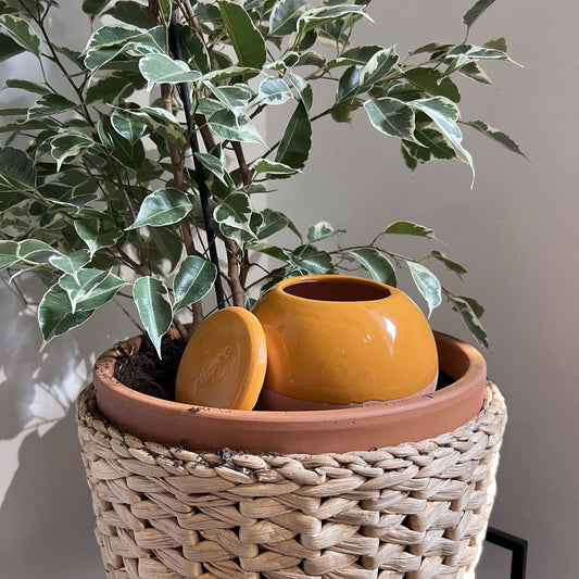 Oyas à planter taille M camel de 800 mL