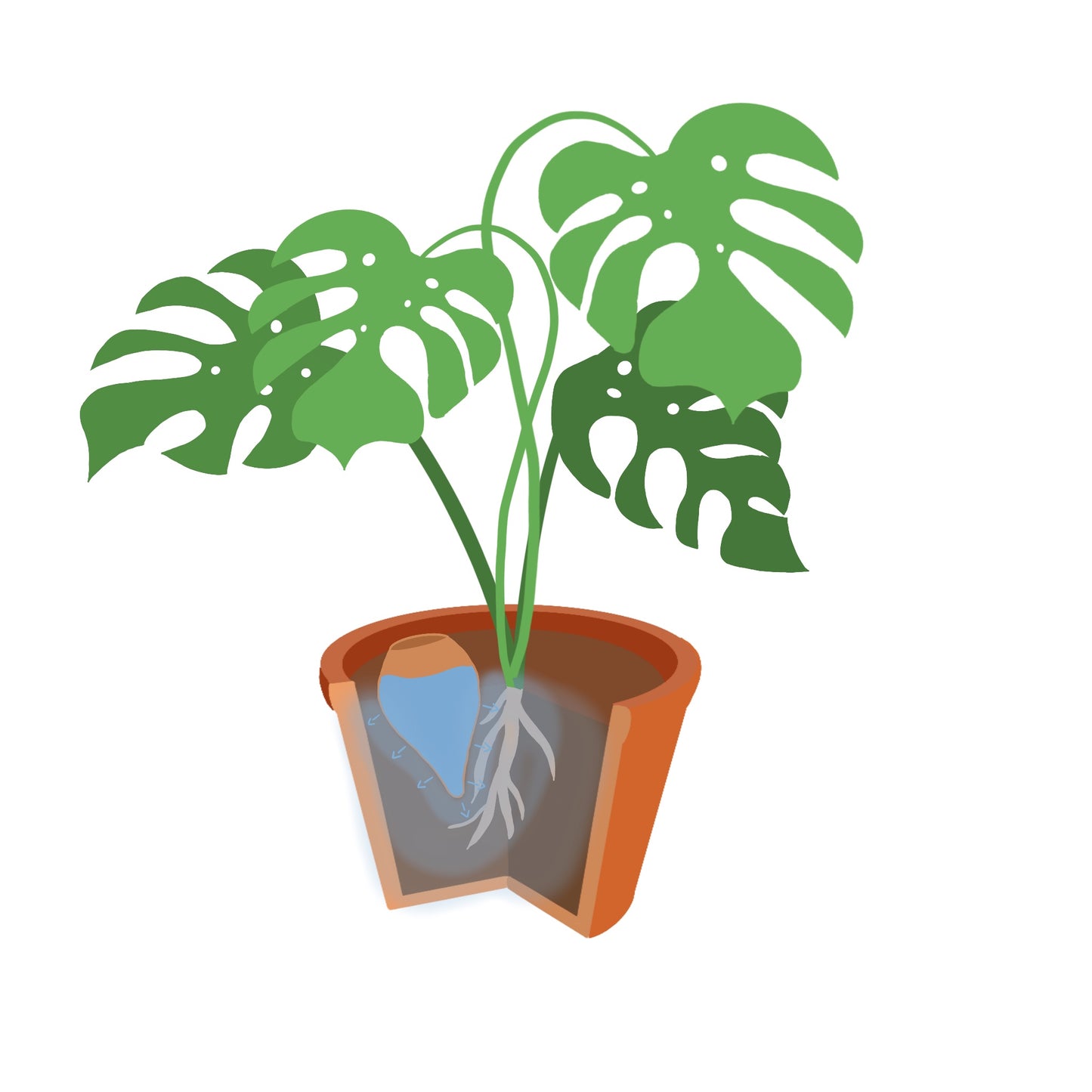 Oyas à planter taille S de 300 ml
