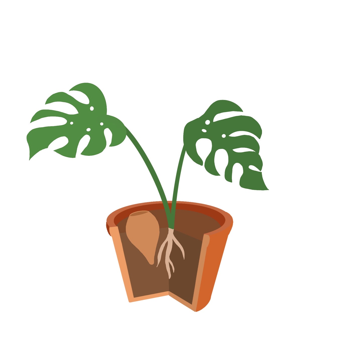 Oyas à planter taille S de 300 ml