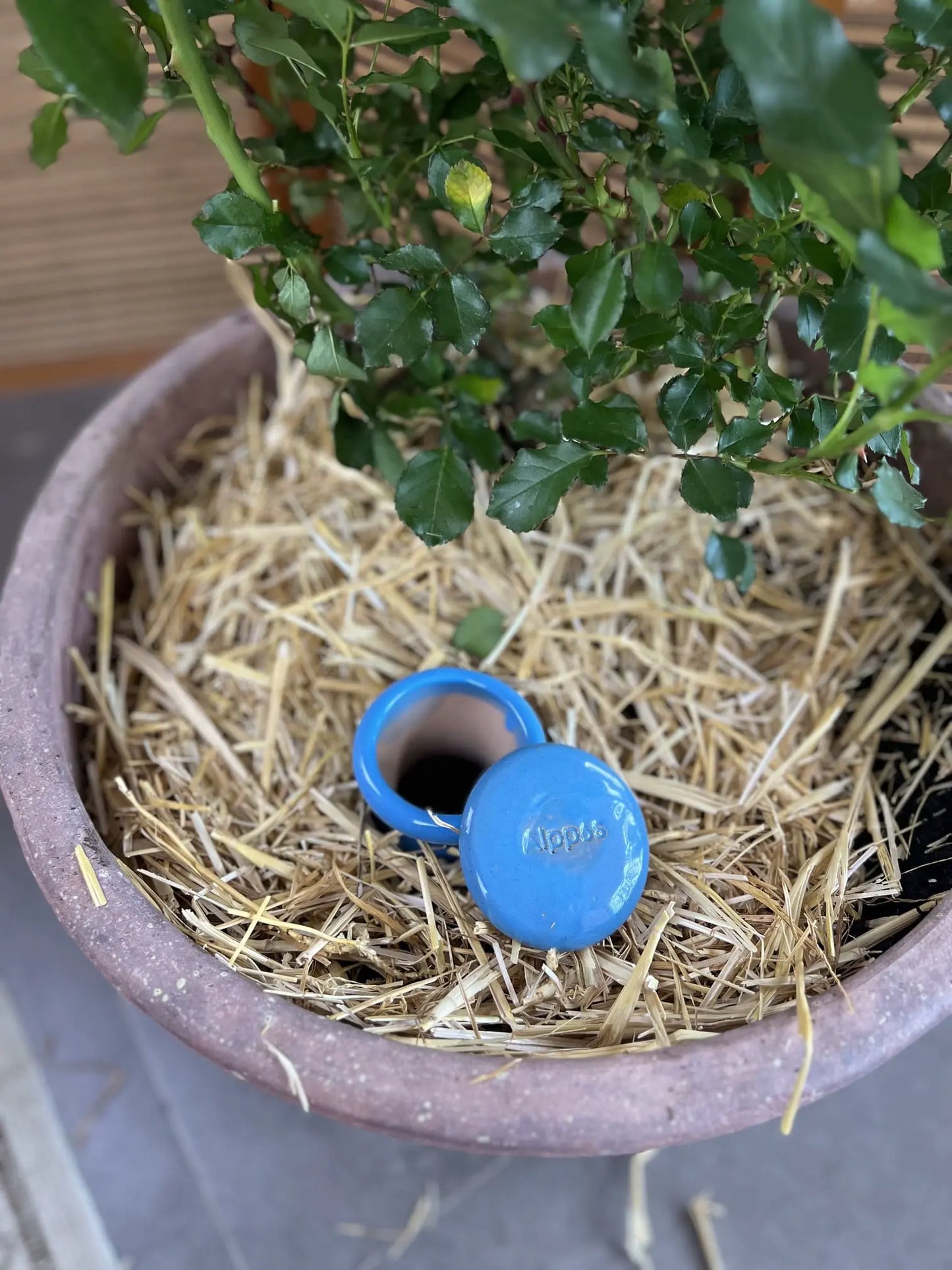 Oyas à enterrer taille M Bleu de 1 L