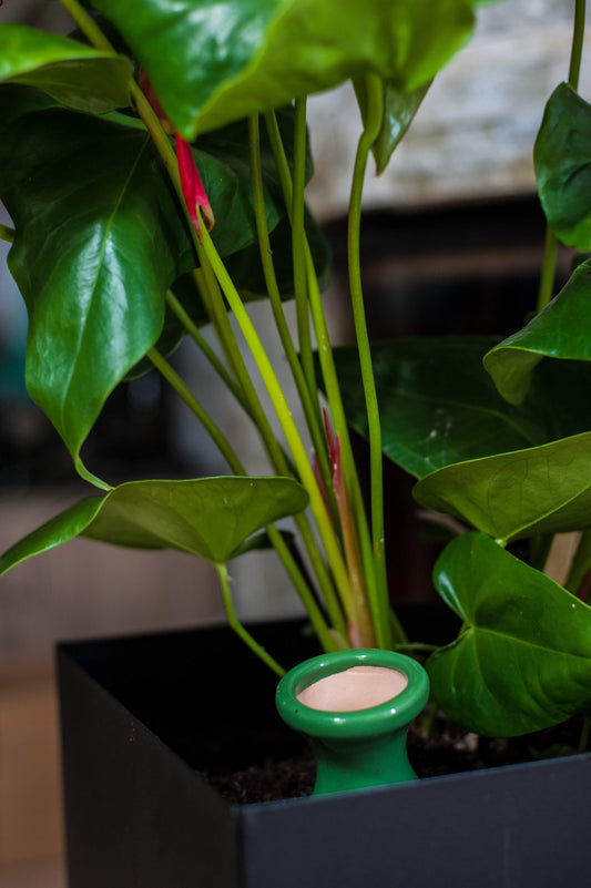 Oya à enterrer 330 ml couleur | Intérieur discret | Alppos