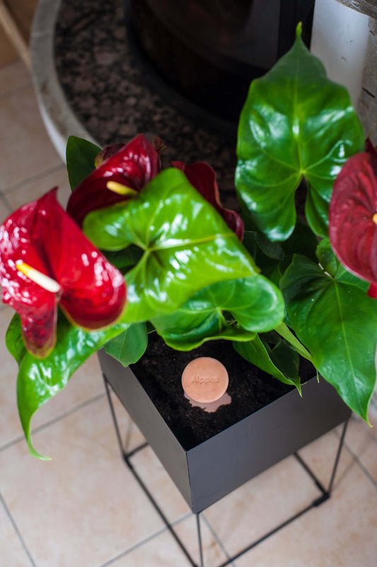 Oyas à enterrer taille S de 330 ml