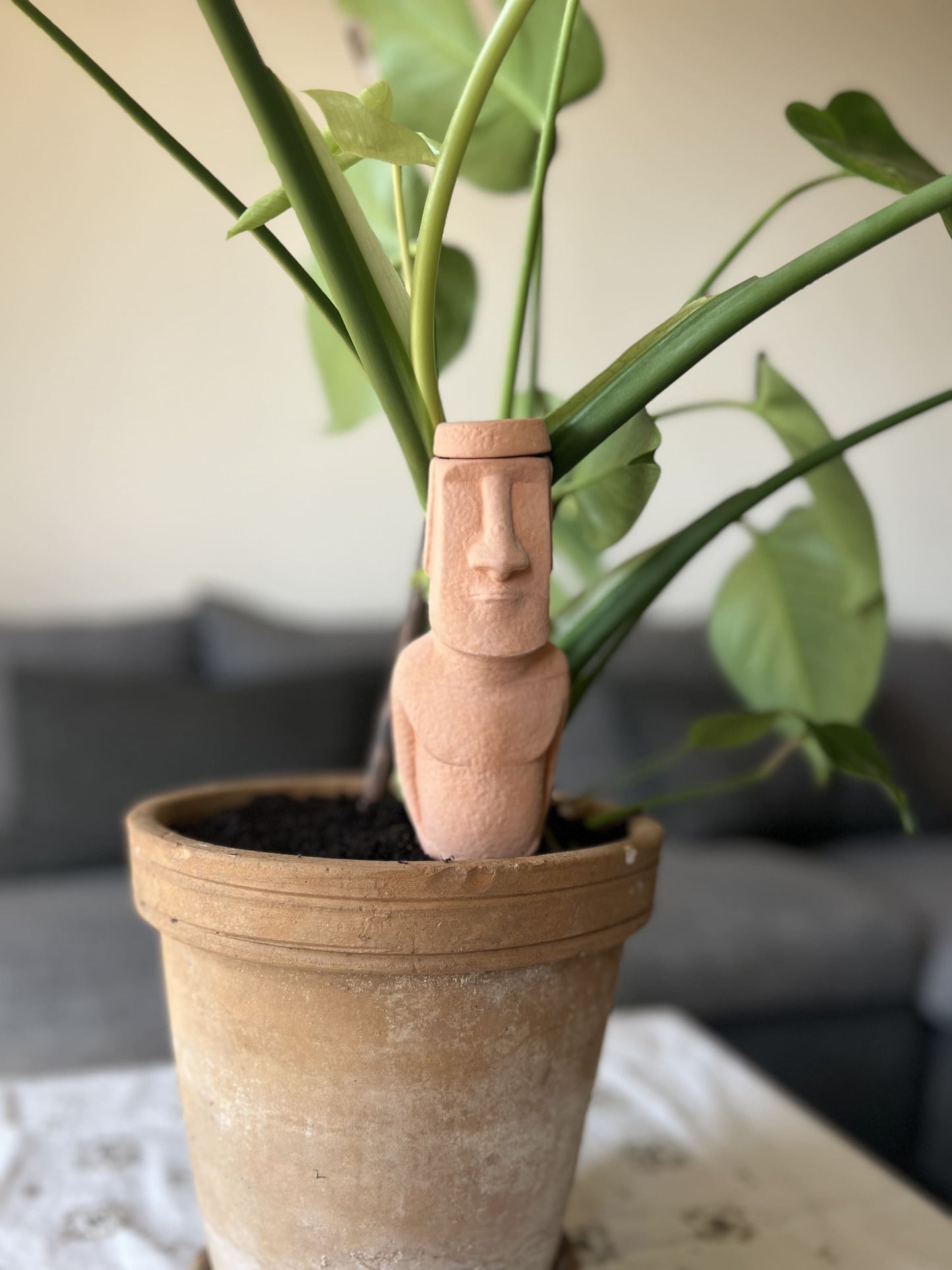 Oyas à planter en statue MoaÏ de l'île de Pâques 400 ml