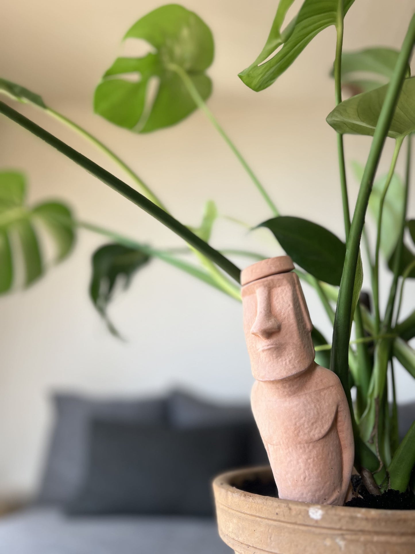 Oyas à planter en statue MoaÏ de l'île de Pâques 400 ml