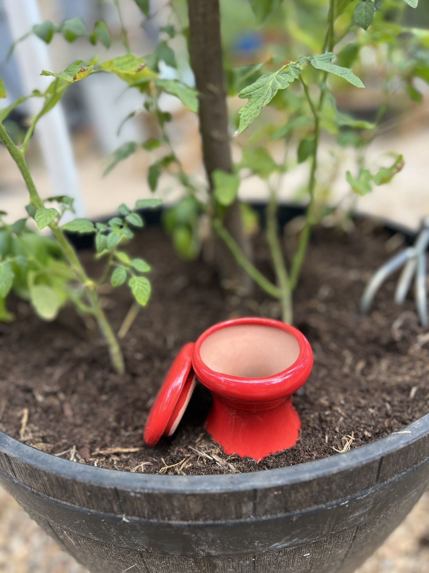 Oya à enterrer 1 L couleur | Arbres fruitiers | Alppos