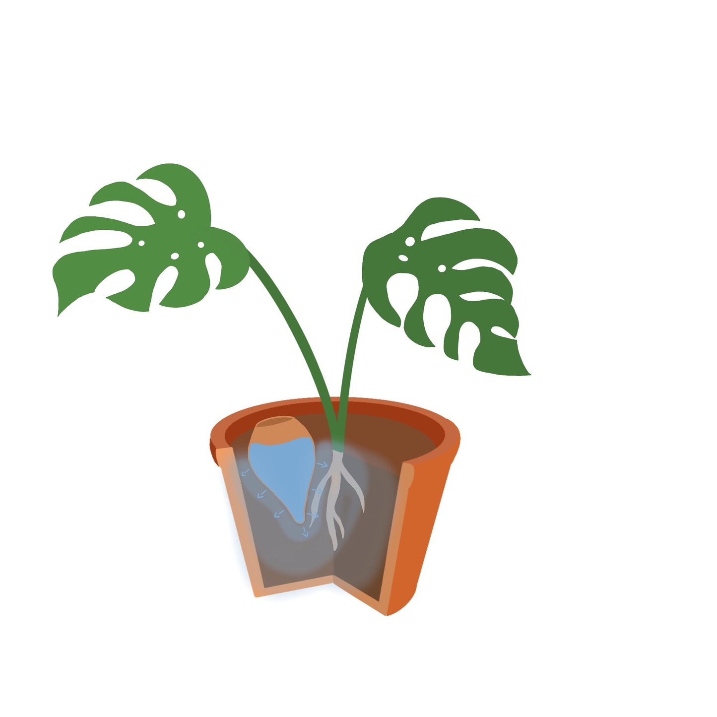 Oyas à planter taille M de 800 mL